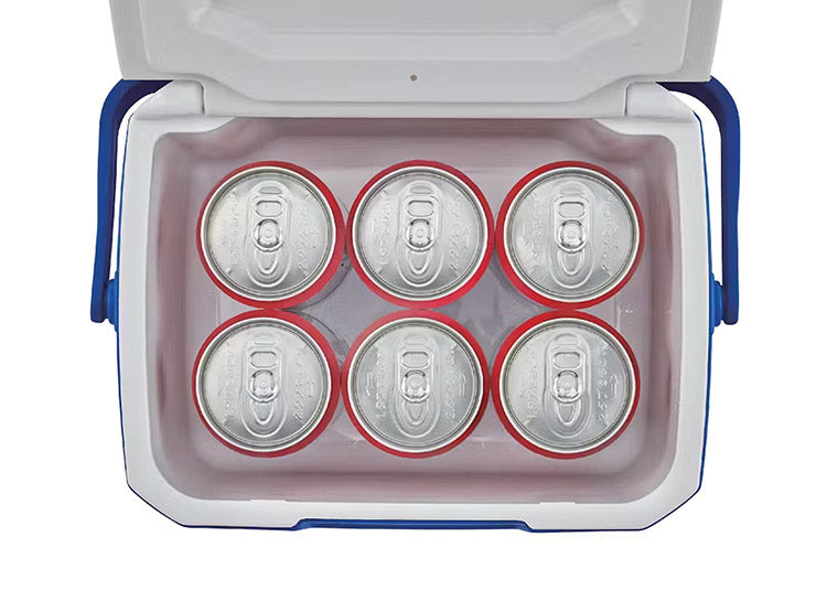 Coleman Performance Mini Ice Box