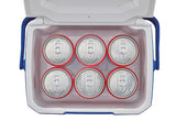 Coleman Performance Mini Ice Box