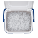 Coleman Performance Mini Ice Box
